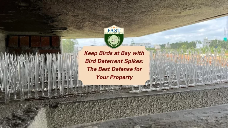 Keep Birds at Bay with Bird Deterrent Spike: The Best Defense for Your Property