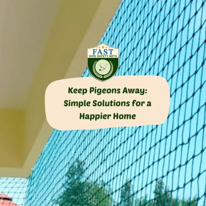 Keep Pigeons Away: Simple Solutions for a Happier Home