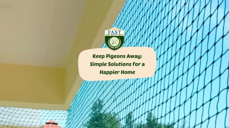Keep Pigeons Away: Simple Solutions for a Happier Home