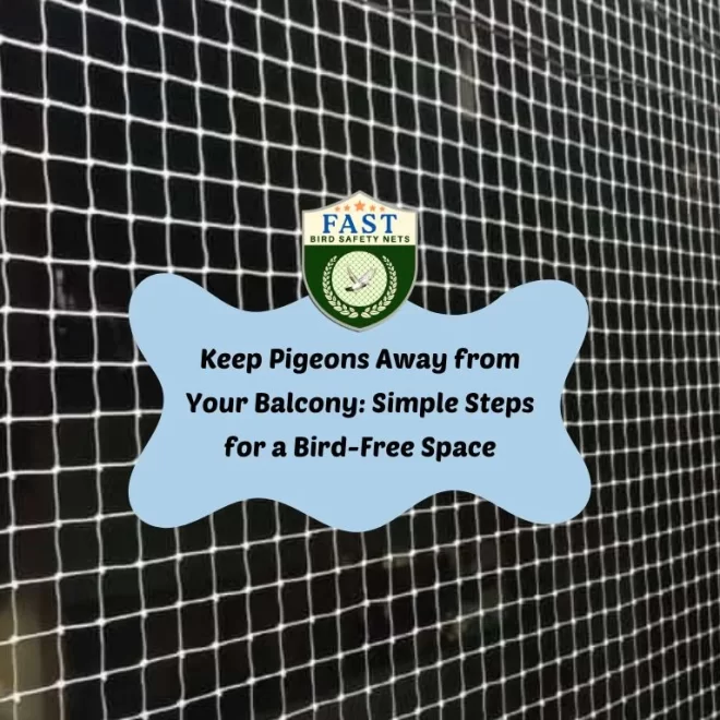 Keep Pigeons Away from Your Balcony with Pigeon Nets Installation