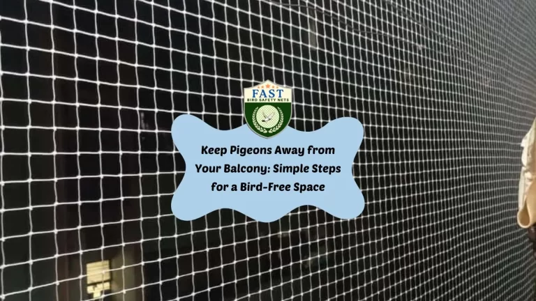 Keep Pigeons Away from Your Balcony with Pigeon Nets Installation