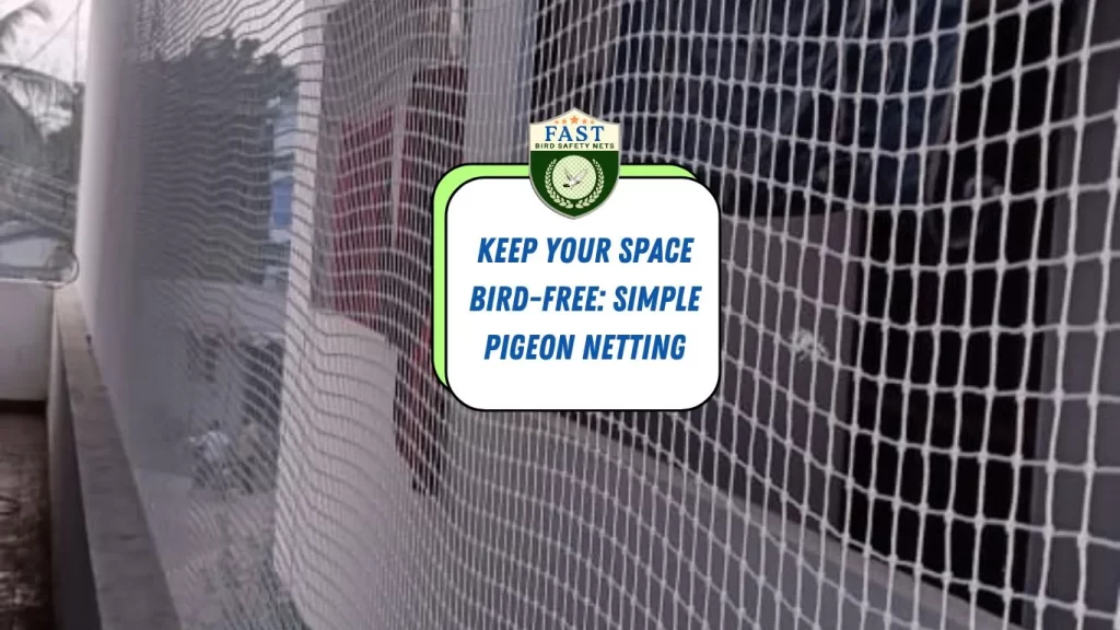 Keep Your Space Bird-Free: Simple Pigeon Netting