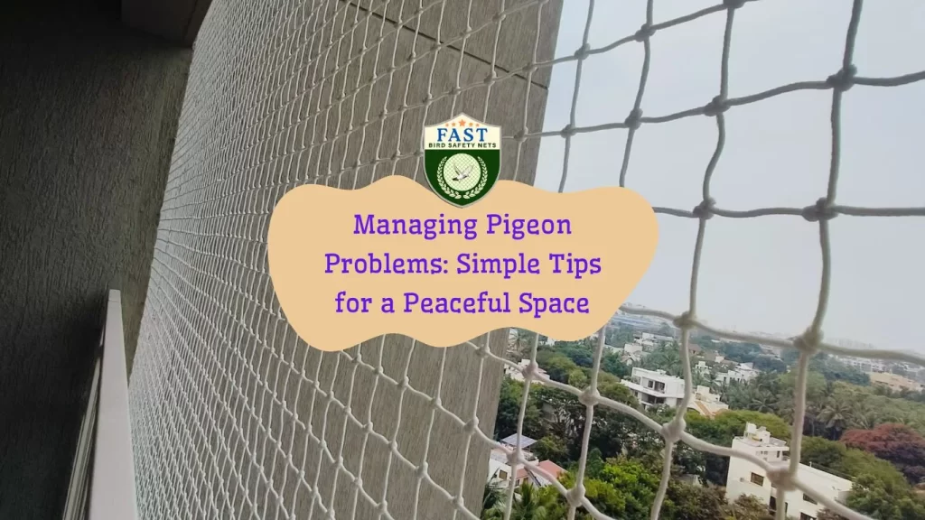 Managing Pigeon Problems: Simple Tips for a Peaceful Space