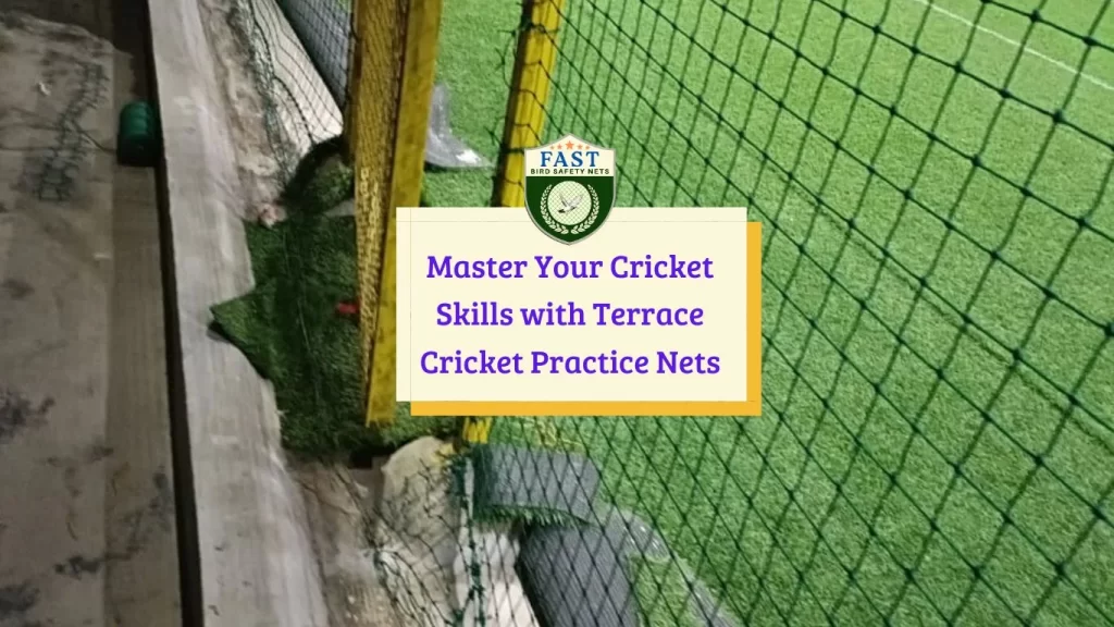 Master Your Cricket Skills with Terrace Cricket Practice Nets