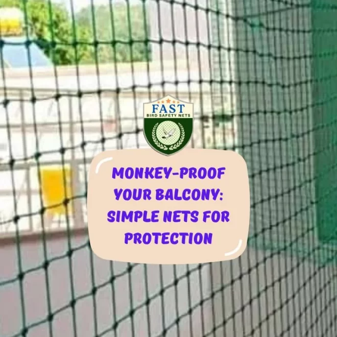 Monkey-Proof Your Balcony: Simple Nets for Protection