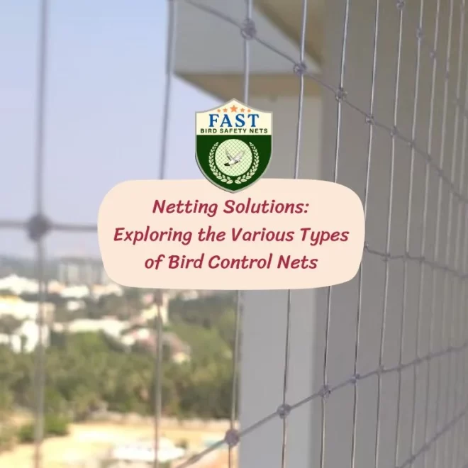 Netting Solutions: Exploring the Various Types of Bird Control Nets