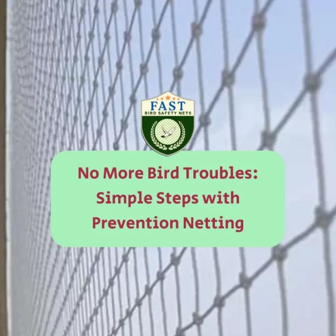 No More Bird Troubles: Simple Steps with Bird Prevention Netting