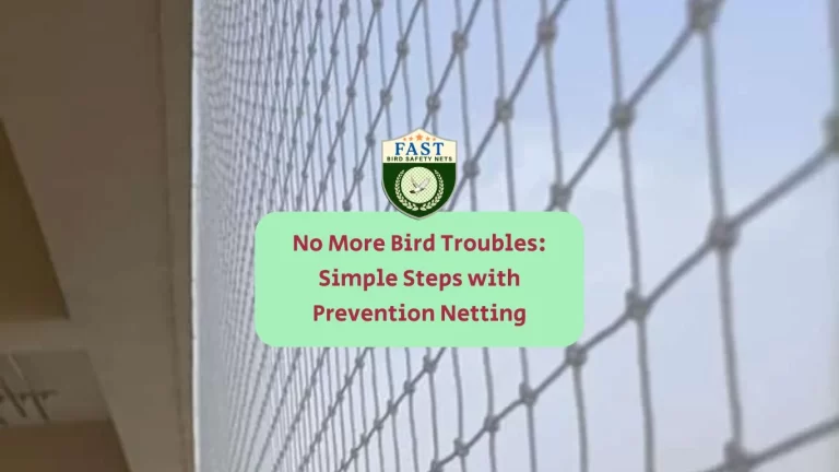 No More Bird Troubles: Simple Steps with Bird Prevention Netting