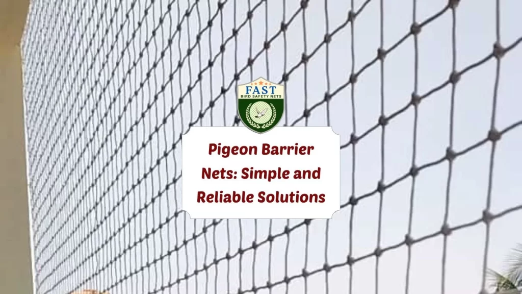 Pigeon Barrier Nets: Simple and Reliable Solutions