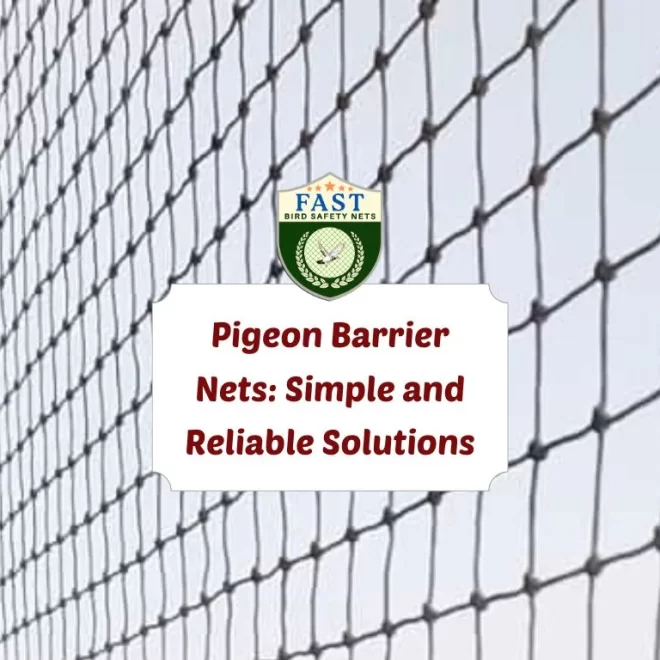 Pigeon Barrier Nets: Simple and Reliable Solutions
