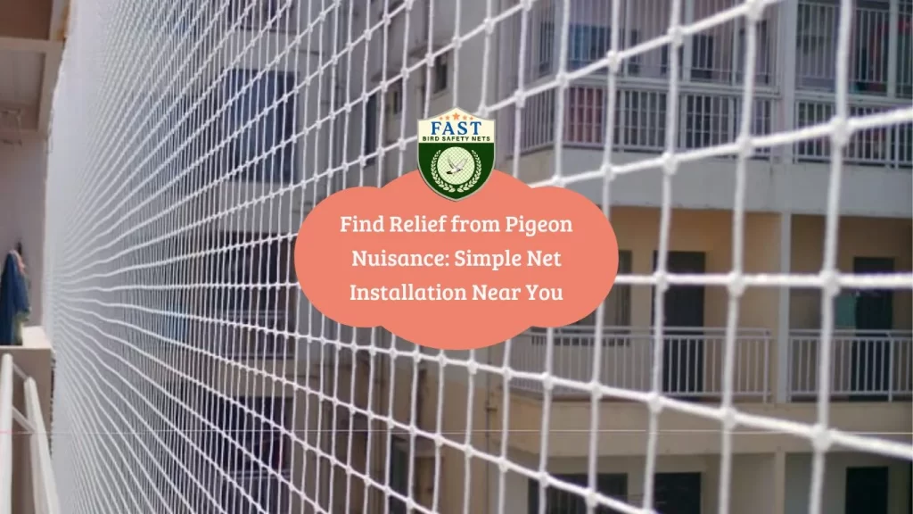 Find Relief from Pigeon Nuisance: Simple Pigeon Net Installation Near You