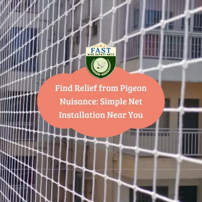 Find Relief from Pigeon Nuisance: Simple Pigeon Net Installation Near You