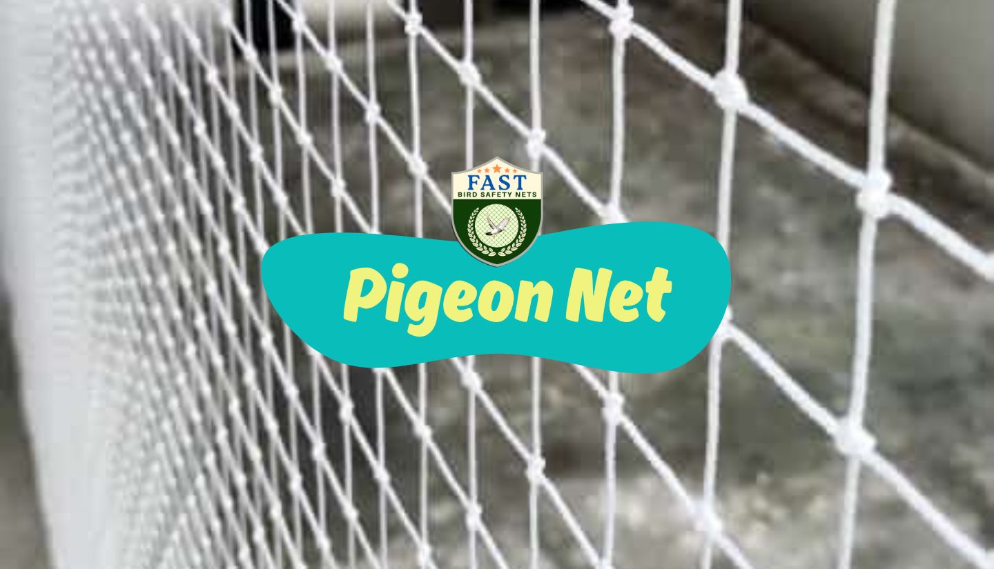 Find Relief from Pigeon Nuisance: Simple Pigeon Net Installation Near ...