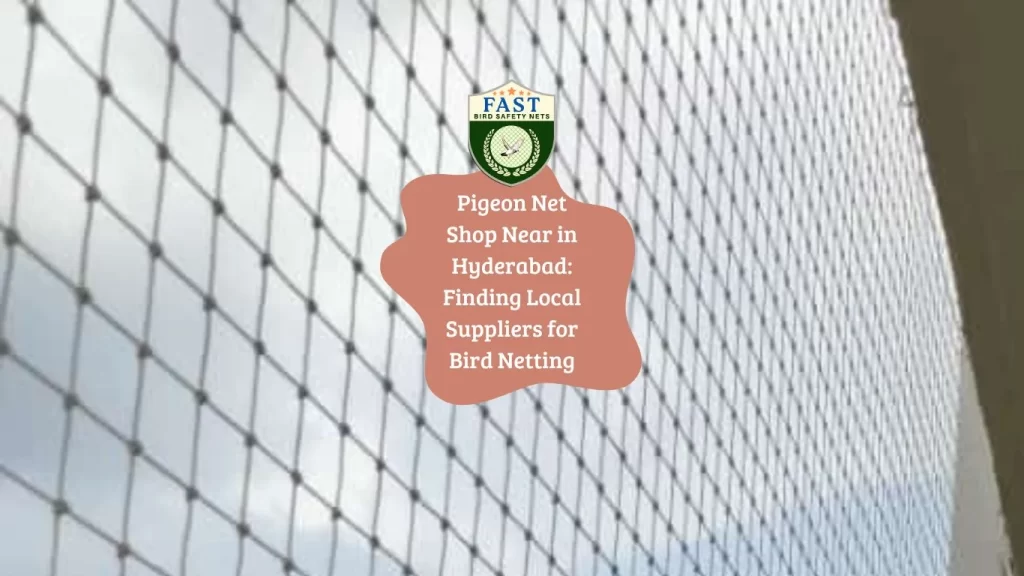 Pigeon Net Shop Near in Hyderabad: Finding Local Suppliers for Bird Netting