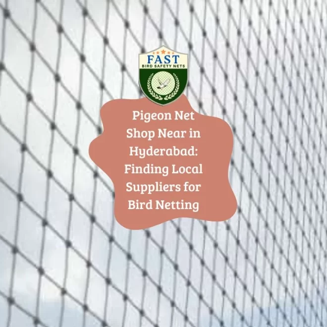 Pigeon Net Shop Near in Hyderabad: Finding Local Suppliers for Bird Netting