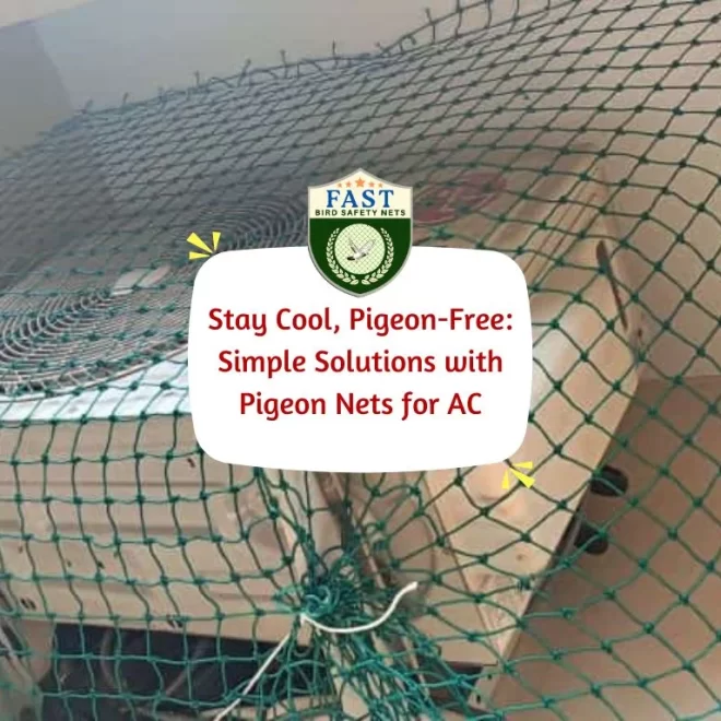 Stay Cool, Pigeon-Free: Simple Solutions with Pigeon Nets for AC