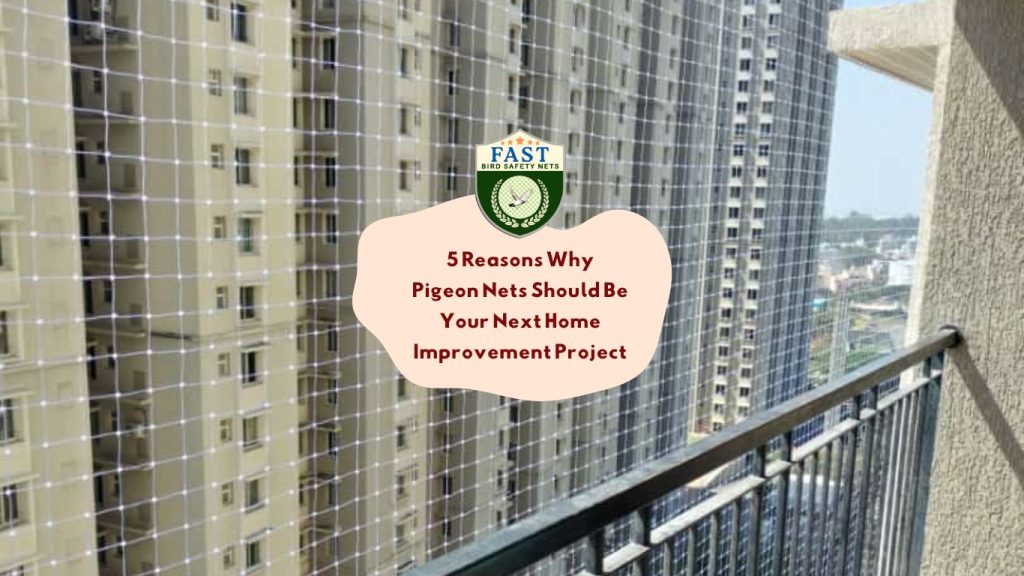 5 Reasons Why Pigeon Nets Should Be Your Next Home Improvement Project