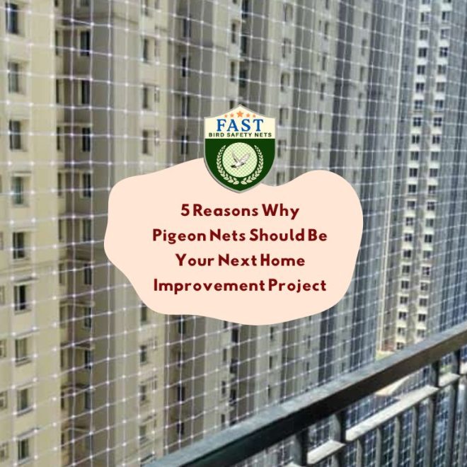 5 Reasons Why Pigeon Nets Should Be Your Next Home Improvement Project