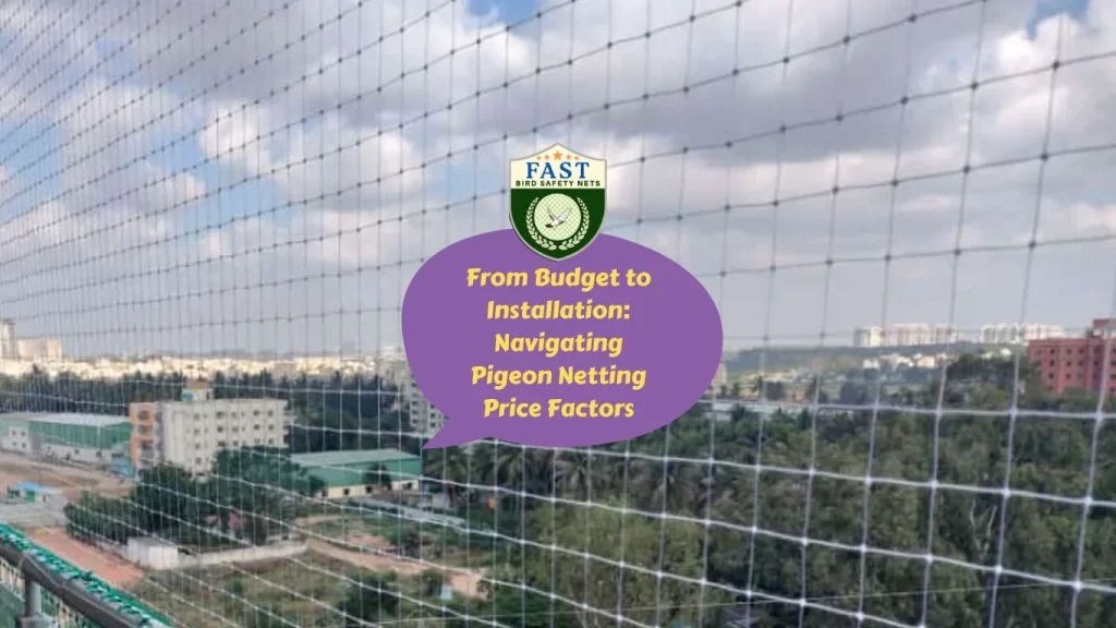 From Budget to Installation: Navigating Pigeon Netting Price Factors