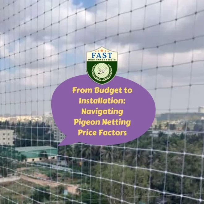 From Budget to Installation: Navigating Pigeon Netting Price Factors