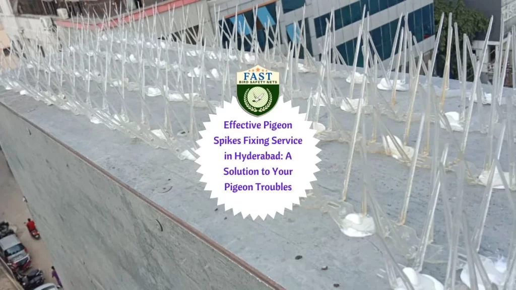 Effective Pigeon Spikes Fixing Service in Hyderabad: A Solution to Your Pigeon Troubles