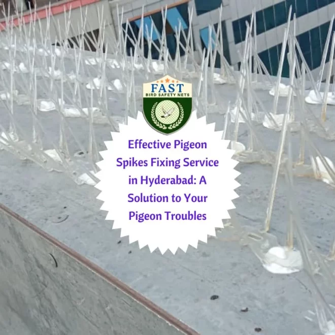 Effective Pigeon Spikes Fixing Service in Hyderabad: A Solution to Your Pigeon Troubles