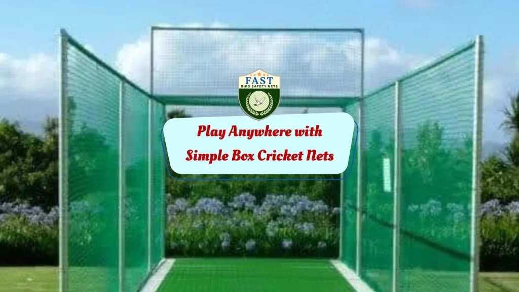 Play Anywhere with Simple Box Cricket Nets