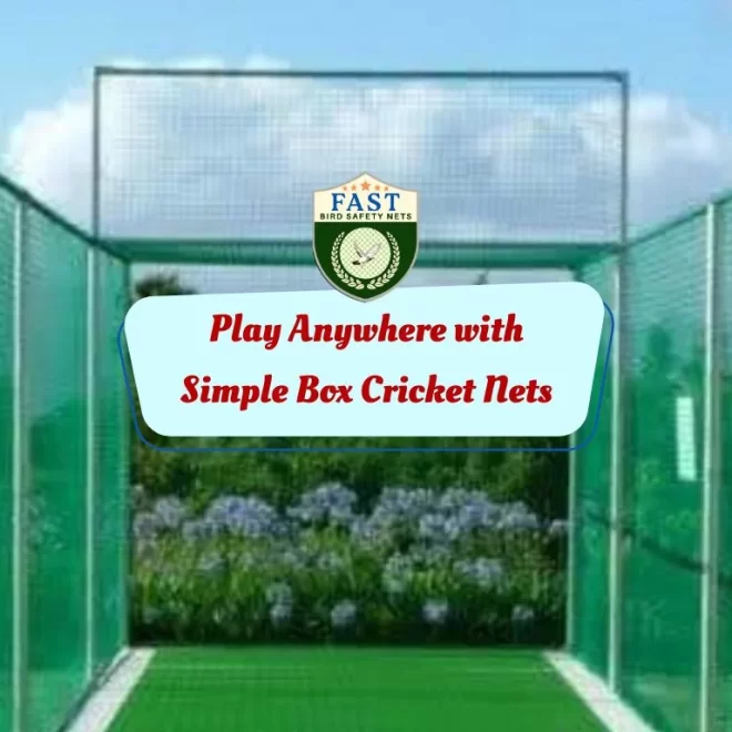 Play Anywhere with Simple Box Cricket Nets