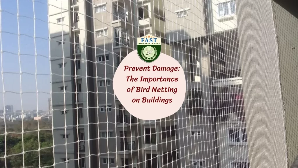 Prevent Damage: The Importance of Bird Netting on Buildings