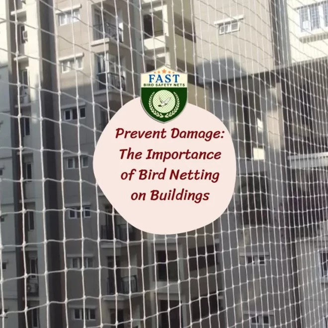 Prevent Damage: The Importance of Bird Netting on Buildings