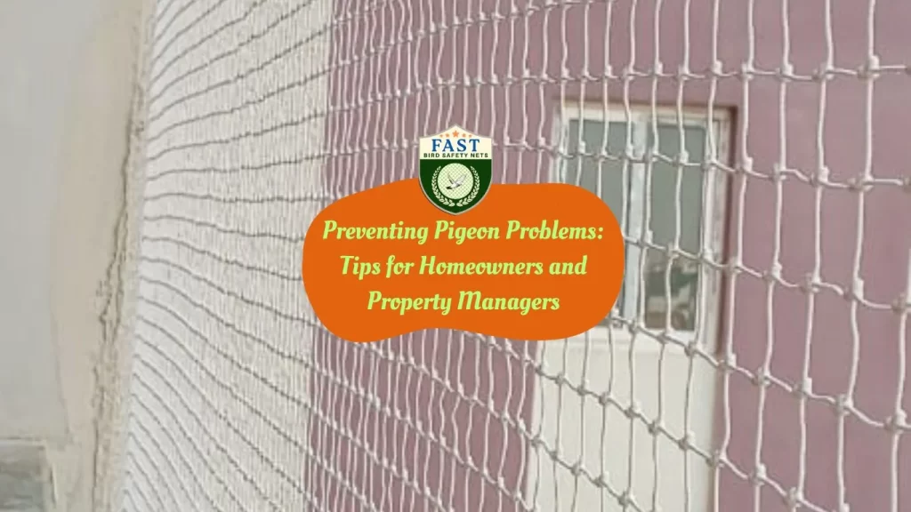 Preventing Pigeon Problems: Tips for Homeowners and Property Managers