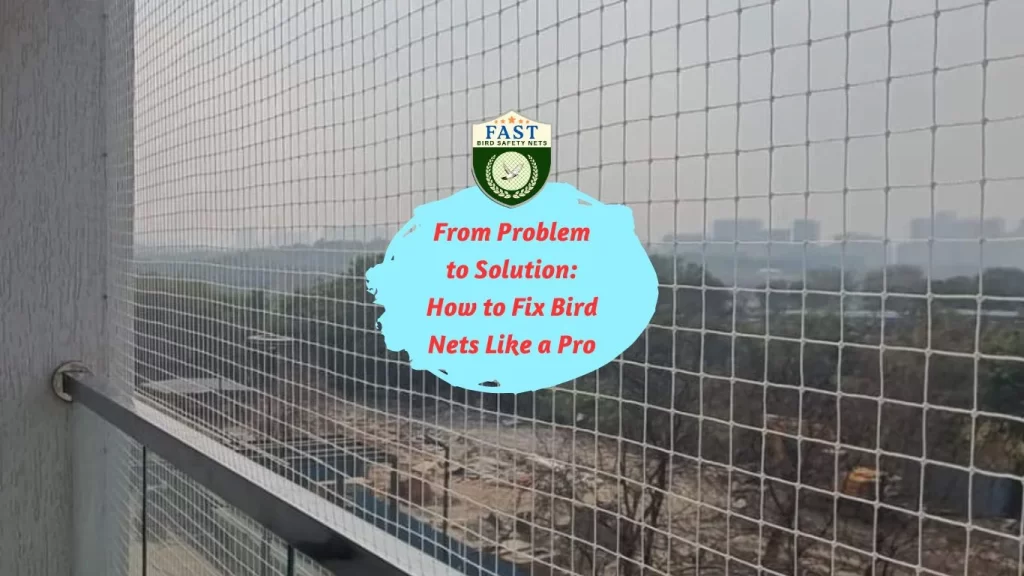 From Problem to Solution: How to Fix Bird Nets Like a Pro