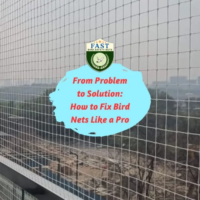 From Problem to Solution: How to Fix Bird Nets Like a Pro