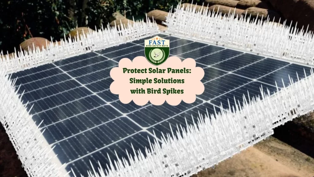 Protect Solar Panels: Simple Solutions with Bird Spikes