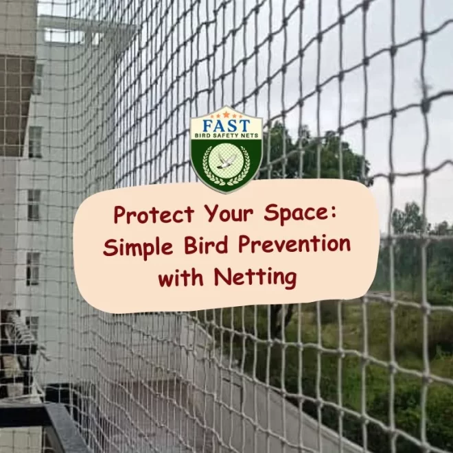 Protect Your Space: Simple Bird Prevention with Netting