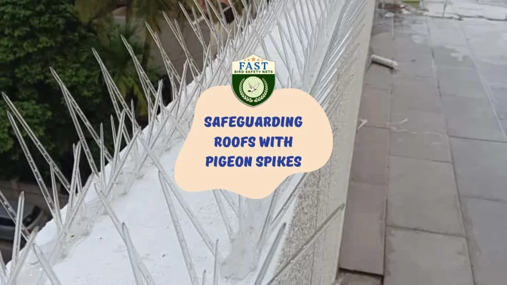 Safeguarding Roofs with Pigeon Spikes