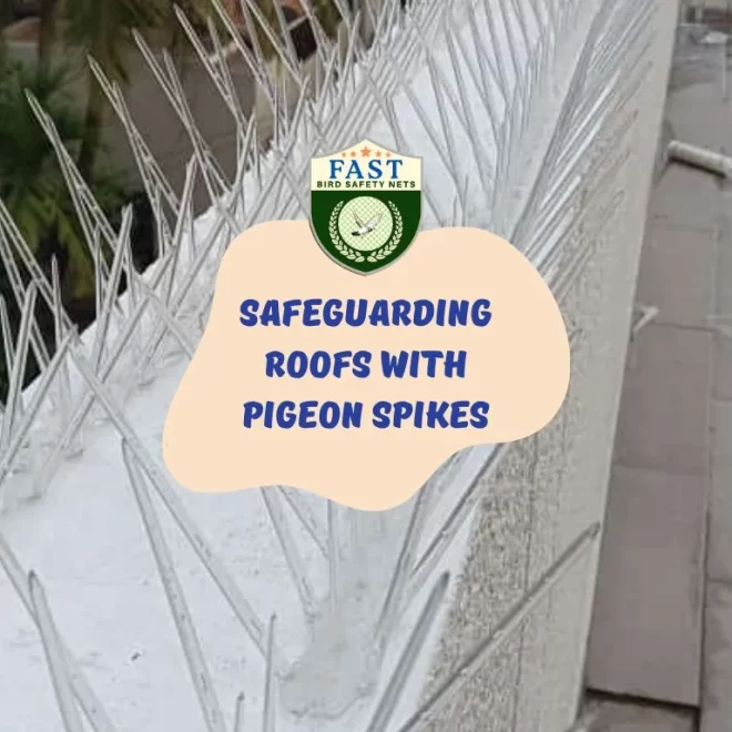 Safeguarding Roofs with Pigeon Spikes