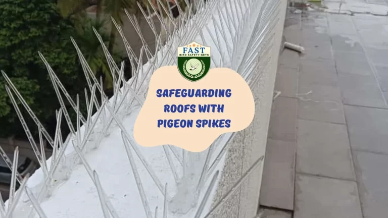Safeguarding Roofs with Pigeon Spikes