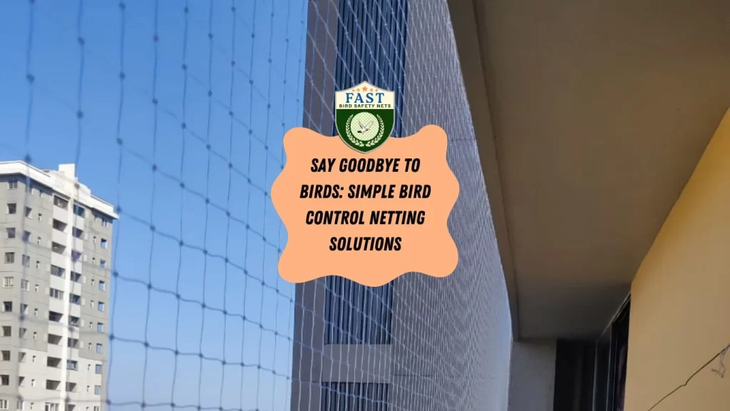 Say Goodbye to Birds: Simple Bird Control Netting Solutions