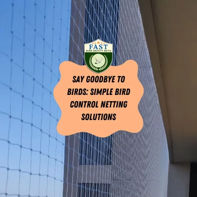 Say Goodbye to Birds: Simple Bird Control Netting Solutions