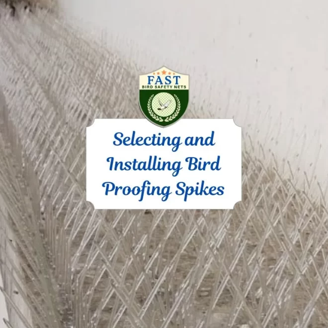 Selecting and Installing Bird Proofing Spikes