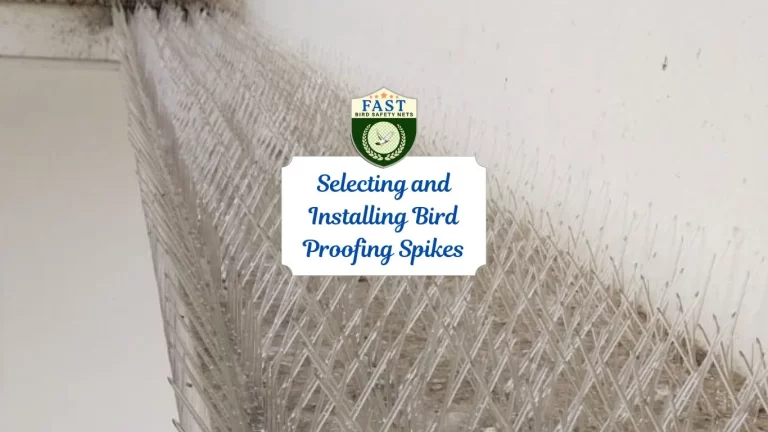 Selecting and Installing Bird Proofing Spikes