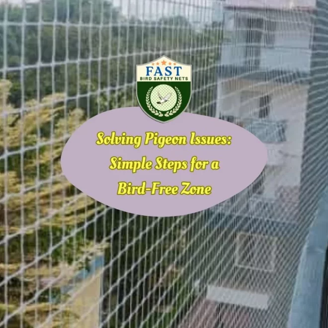 Solving Pigeon Issues: Simple Steps for a Bird-Free Zone