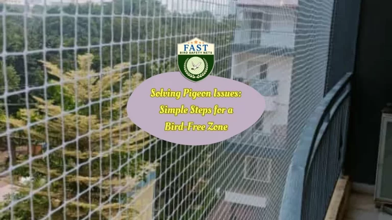 Solving Pigeon Issues: Simple Steps for a Bird-Free Zone