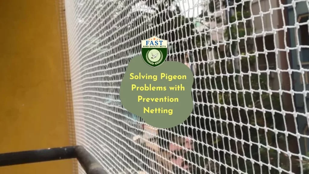 Solving Pigeon Problems with Prevention Netting