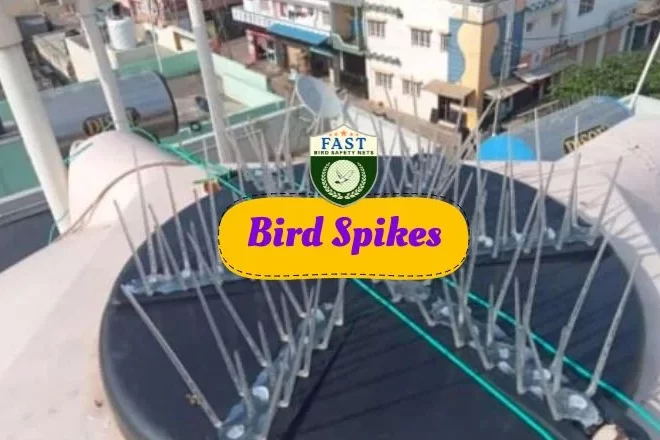 Keep Birds at Bay with Bird Repellent Spikes: A Guide to Effective Bird Control