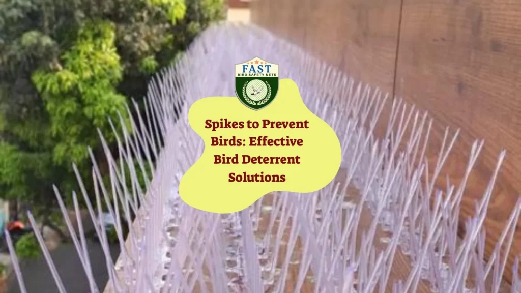 Spikes to Prevent Birds: Effective Bird Deterrent Solutions