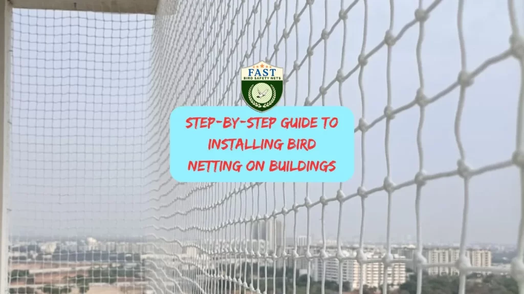 Step-by-Step Guide to Installing Bird Netting on Buildings