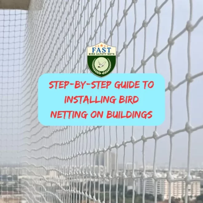 Step-by-Step Guide to Installing Bird Netting on Buildings