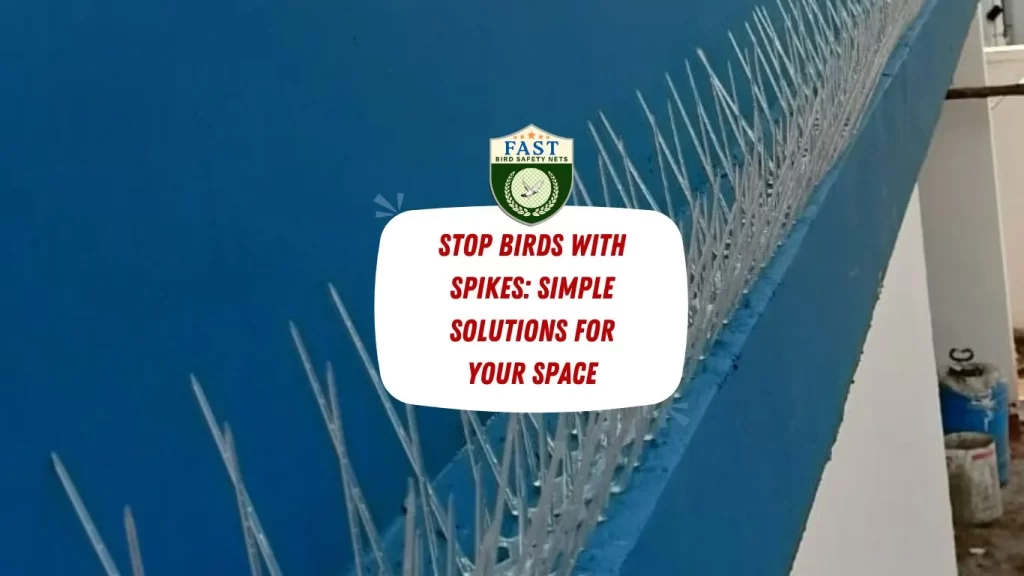 Stop Birds with Spikes: Simple Solutions for Your Space